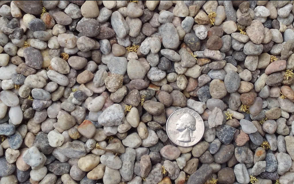 Moorhead Rocks Products detail :: Southeast